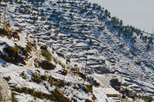 Dhanaulti - snow clad hill