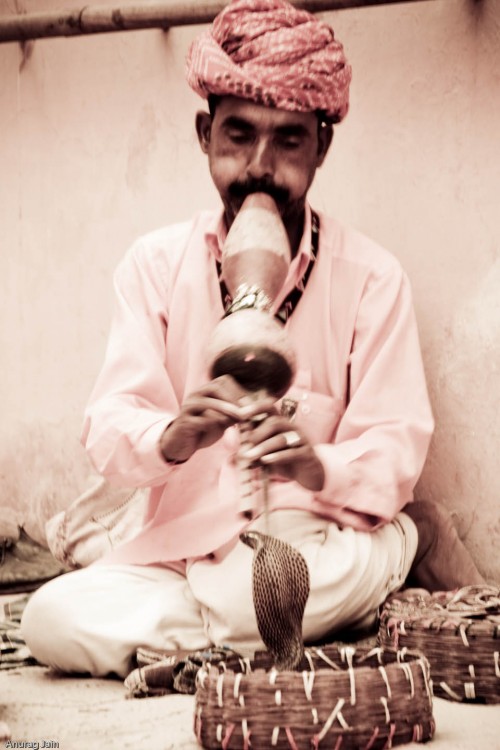 Snake charmer at Rajasthan