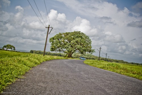 A bend in the road - Divar Island