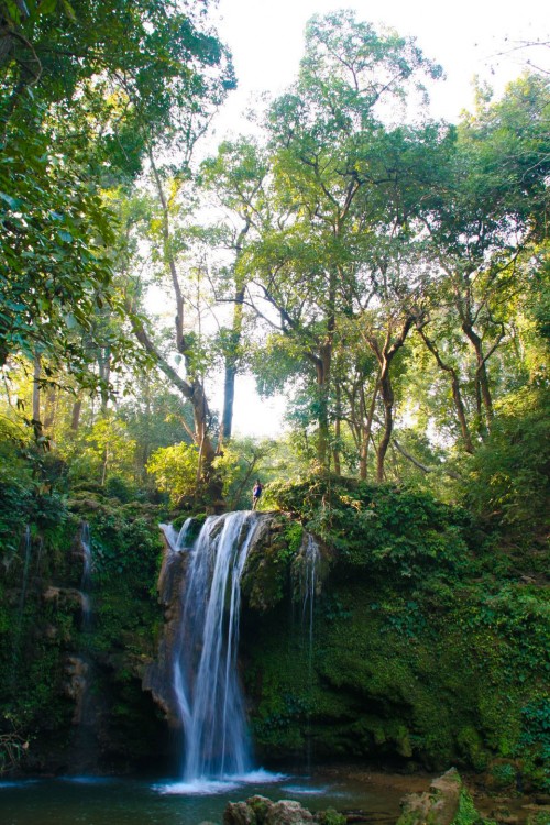 Waterfall at Jim Corbett National Park