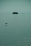 Boat house silhouette at Vembanad lake