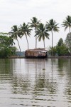 Palm tree reflection at Kerala backwaters